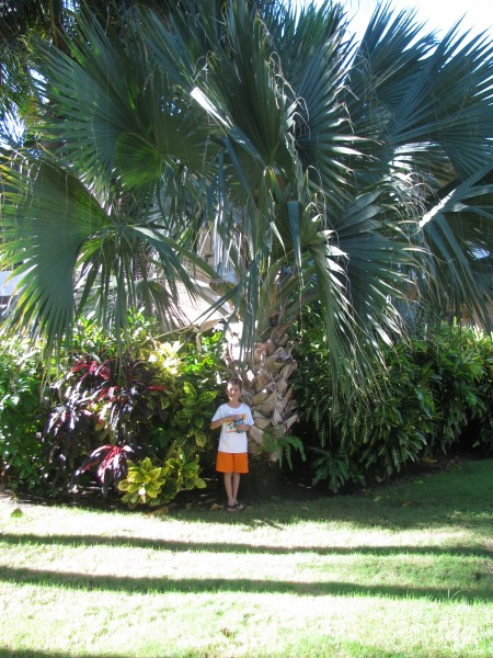 Dominican Republic 277.jpg